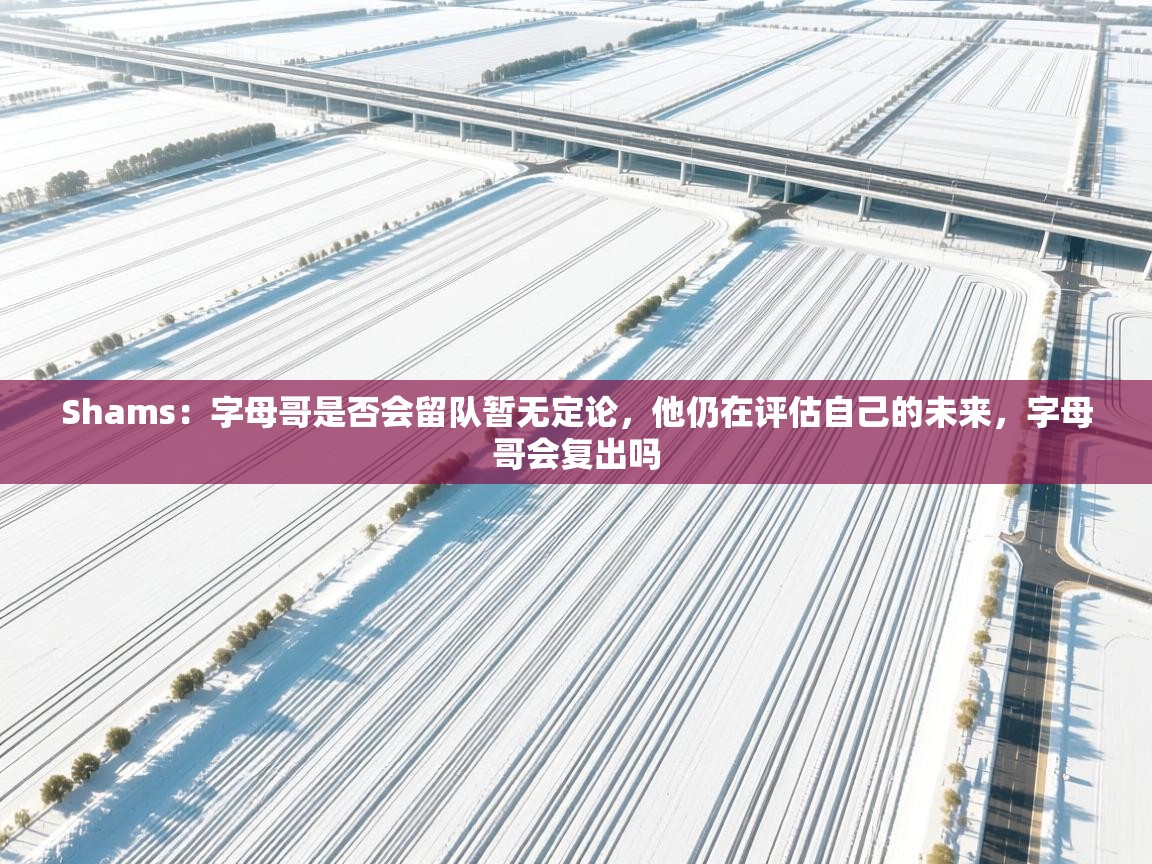 Shams：字母哥是否会留队暂无定论，他仍在评估自己的未来，字母哥会复出吗  第1张