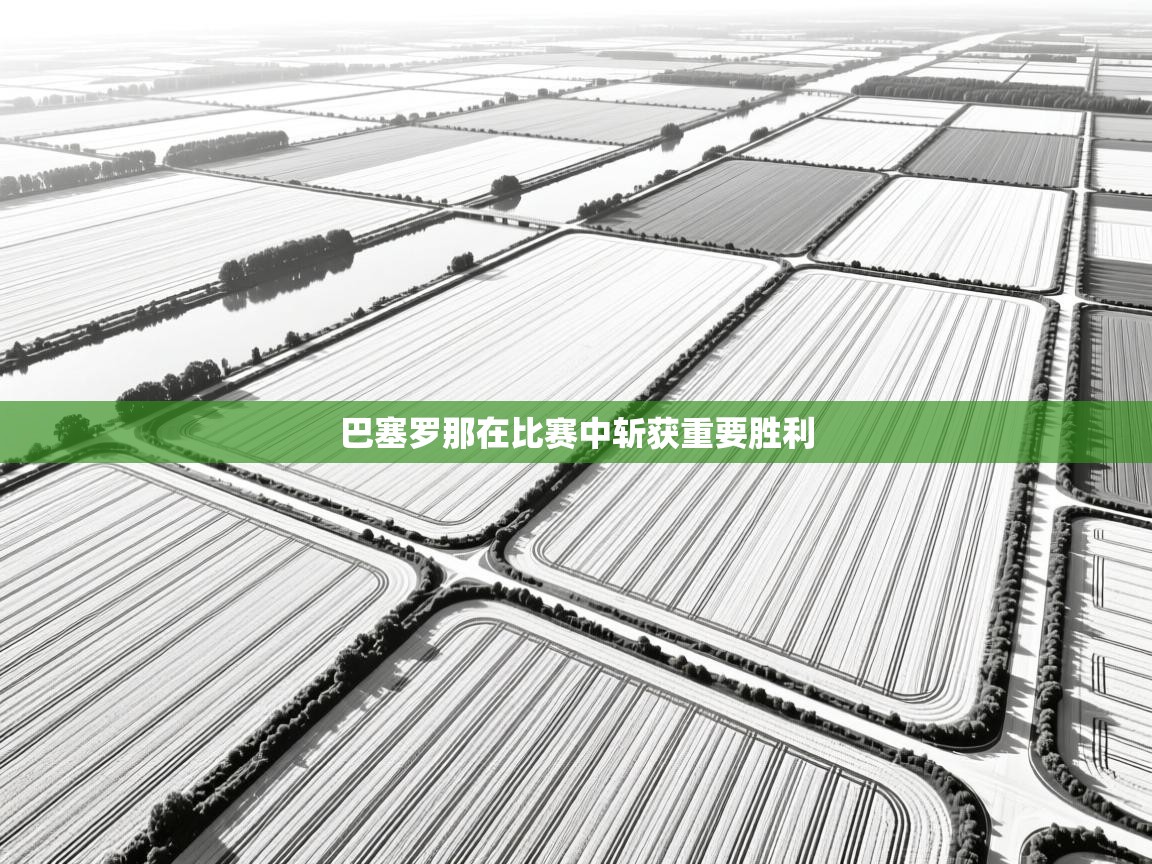 巴塞罗那在比赛中斩获重要胜利  第2张