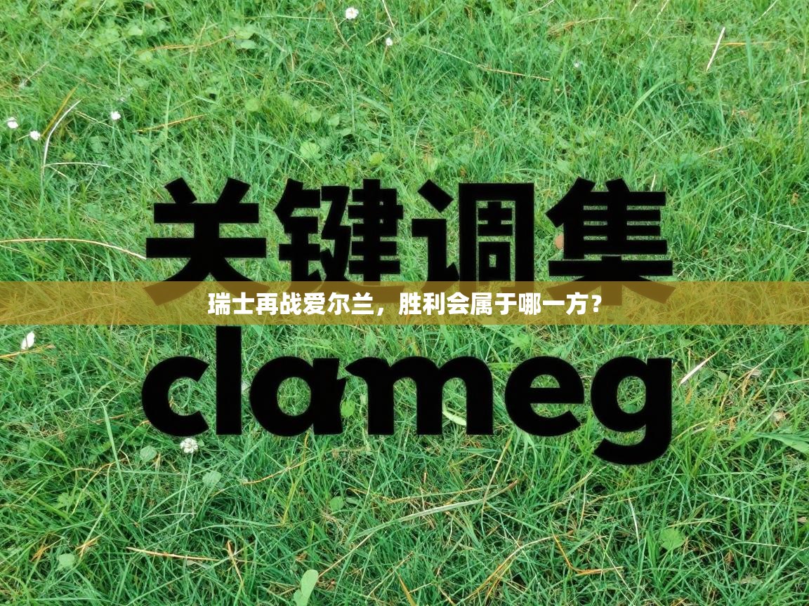 瑞士再战爱尔兰,胜利会属于哪一方? 第2张